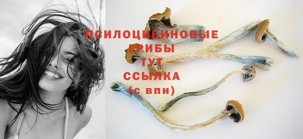 соль ск Аркадак